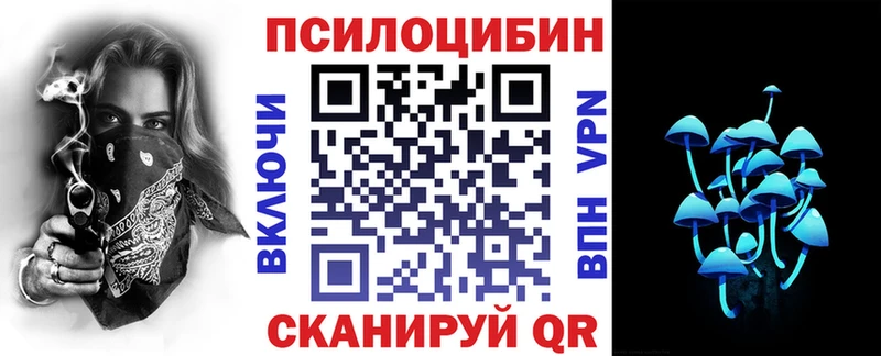 Купить  Вихоревка  Псилоцибиновые грибы Magic Shrooms 